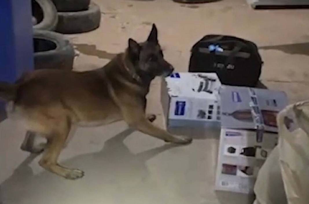 Tost makinesinin içine sığdırmışlar! Polisler bile şaşkınlığını gizleyemedi 3